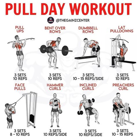 all_workout_tips  🇺🇸 🇬🇧 on Instagram: “⁣ 🔴 PULL DAY WORKOUT 🔴⁣⁣⁣⁣ ⁣⁣⁣⁣ 📥 Be sure to SAVE this for later!⁣⁣⁣⁣ ⁣⁣⁣⁣ Are you looking to 💪BUILD MUSCLE?💪⁣⁣⁣⁣ ⁣⁣⁣⁣ Then I highly…” Pull Day Gym, Push Pull Legs Workout, Push Day Workout, Push Pull Workout, Pull Day Workout, Pull Day, Gym Program, Push Pull Legs, Workout Gym Routine