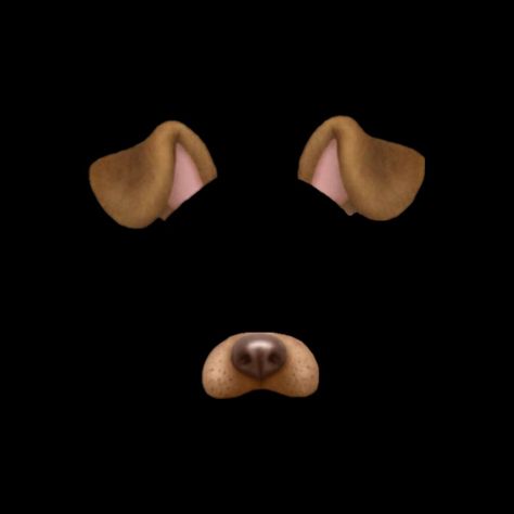 Instagram Dog Filter, Face Filter Png, Dog Filter Instagram, Dog Filter Pfp, Dog Filter Snapchat, Snapchat Filters Png, Snapchat Dog Filter, Dog Emoji, Watermark Ideas