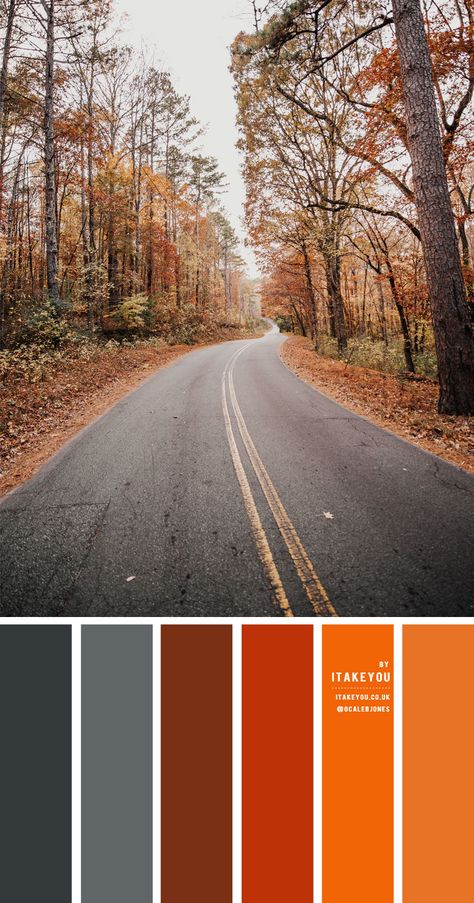 colour palettes Archives 2 - I Take You | Wedding Readings | Wedding Ideas | Wedding Dresses | Wedding Theme Orange Brown Grey Color Palette, Dark Grey And Rust Living Room, Grey And Orange Colour Palette, Rust And Grey Color Palette, Grey Living Room Ideas Color Schemes, Rust Color Schemes, Fall Paint Colors, Green Room Colors, Green Wall Color