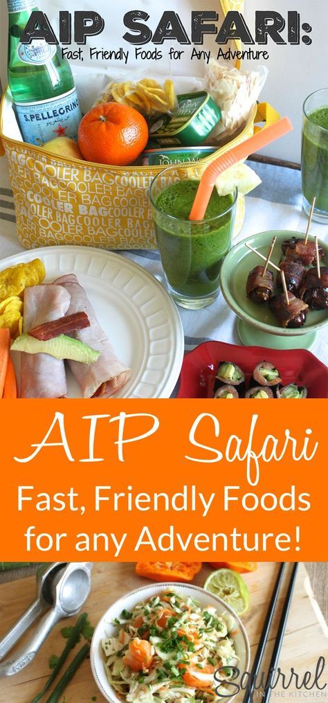 A Squirrel in the Kitchen | AIP Safari Review : Fast, Friendly Food for any Adventure (giveaway) | http://asquirrelinthekitchen.com Aip Snack, Neighborhood Park, Campfire Desserts, Lentil Burgers, Aip Paleo Recipes, Aip Diet, Auto Immune, Autoimmune Paleo, Autoimmune Protocol