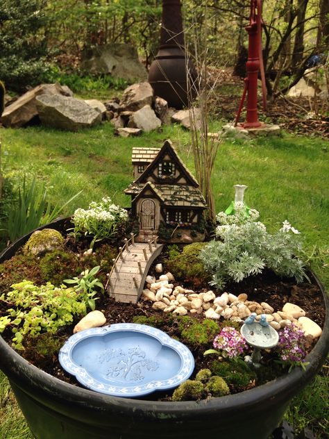 My Fairy Garden Magical Front Yard Landscaping, Fairy Garden Basket, Fairy Village Garden, Fairy Garden With Water Feature, Woodland Fairy Garden, Fairy Garden Planter Ideas, Farm Fairy Garden Ideas, Big Fairy Garden, Small Fairy Garden Ideas