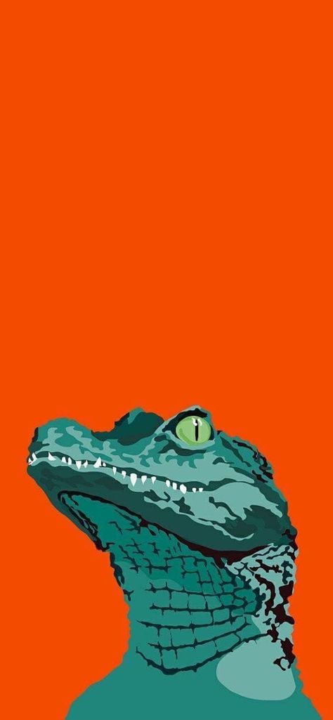 Alligator Wallpaper, Crocodile Illustration, Tattoo Animals, Arte Peculiar, Posca Art, Animal Wallpaper, Funky Art, Animal Drawings, Aesthetic Art