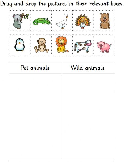 Preschool Zoo Theme, Zoo Preschool, Zoo Activities, Dear Zoo, Mountain Love, Farm Preschool, Animal Worksheets, Animal Activities, English Activities