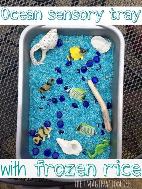 Seaside sensory play tray with frozen rice. Perfect for summer play in the heat! Frozen Rice, Ocean Sensory, Sensory Tray, Sensory Tubs, Sensory Tub, Imagination Tree, Summer Play, Sensory Boxes, Fun Invitations