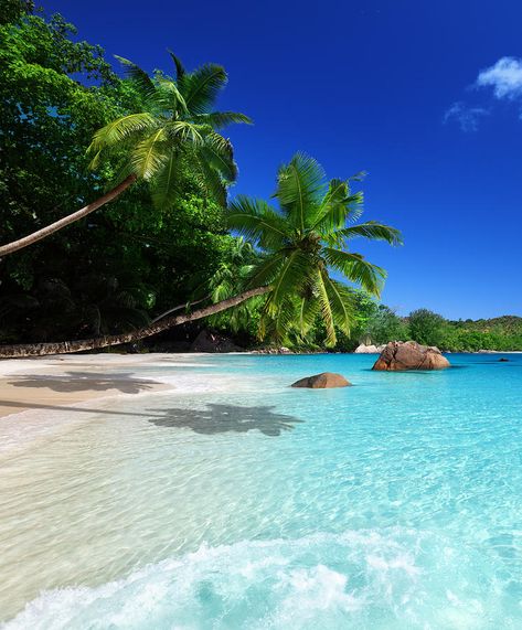 Seychelles Islands, Beautiful Beach Pictures, Clear Blue Water, Tropical Beaches, Exotic Places, Most Beautiful Beaches, Beautiful Places In The World, Beautiful Places To Travel, Beautiful Islands