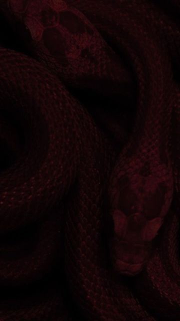 Mahogany Red Aesthetic, Red Vampire Aesthetic Wallpaper, Wine Red Asthetics Wallpaper, Light Maroon Aesthetic, Syrah Color Aesthetic, Gray Halloween Aesthetic, Dark Maroon Aesthetic, Syrah Color, Maroon Red Wallpaper