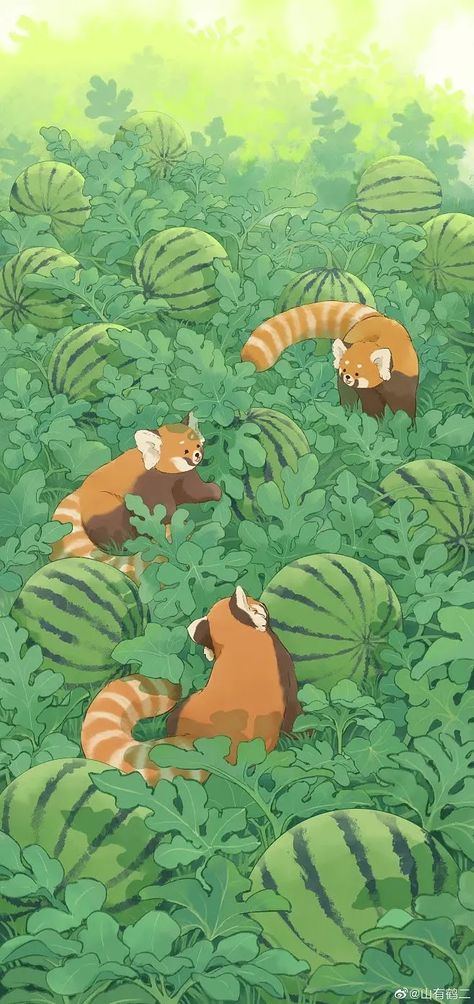 Red Panda Lockscreen, Red Panda Background, Red Panda Wallpaper, Red Panda Art, Panda Background, Japan Theme, Red Panda Cute, Swan Wallpaper, Asian Wallpaper