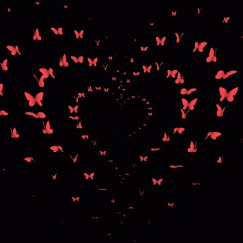 Hearts Butterfly GIF - Hearts Butterfly Flying - Discover & Share GIFs Heart Gifs, Butterfly Gif, Butterfly Flying, Gif Background, Animated Heart, Love Heart Gif, Heart Overlay, Mother Love, Hairstyle Tutorials