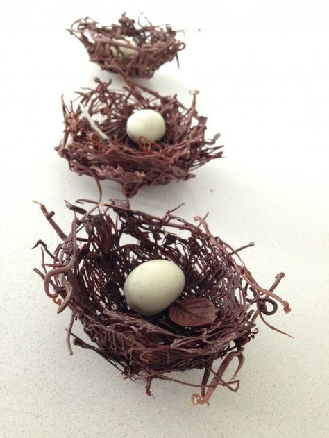 chocolate nests how to cook that Chocolate Birds Nest Recipe, Birds Nests Recipe, Nutella Muffin, Chocolate Nests, Chocolate Bowls, Birds Nests, Chocolate Garnishes, Easter Baking, Chocolate Art