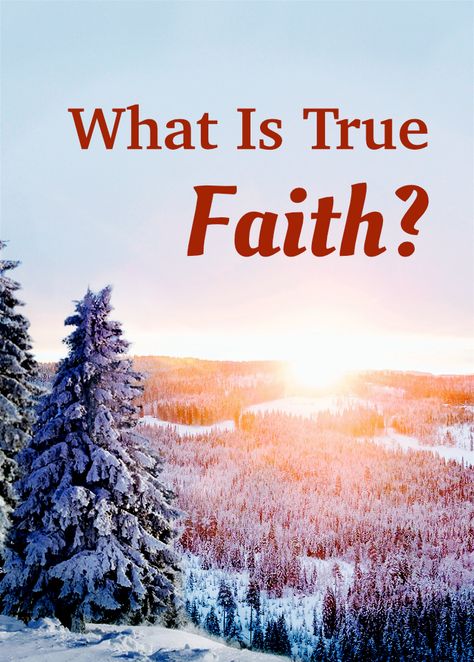 How to have true faith in God? What kind of faith can gain God's approval? Read this article now to get the correct answers.
#What_Is_True_Faith
#Testimonies_of_Faith
#Stories_of_Faith
#Faith_Meaning
#What_Is_Faith
#Faith_Scriptures Faith Meaning, Christian Testimonies, Short Scriptures, Draw Near To God, Faith Scriptures, Faith Stories, True Heart, God Speaks, Bible Verses About Faith