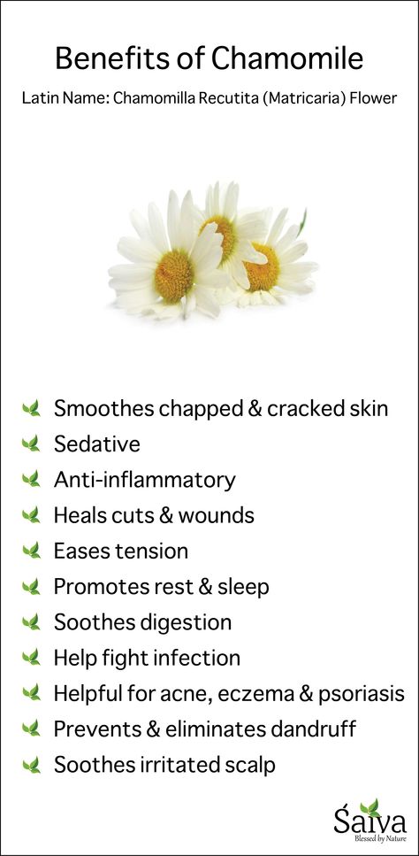 What do you think of Chamomile? Have you tried Chamomile tea? If not then you should, it's the best way to unwind your busy day and relax. Apart from tea Chamomile does have many other benefits. Today let's look at that. #Skincare #Haircare #Beauty #Chamomile #HerbalTea #GreenBeauty Chamomile Oil Benefits, Chamomile Benefits, Chamomile Essential Oil Benefits, Benefits Of Chamomile Tea, Health Benefits Of Chamomile Tea, Chamomile Spiritual Benefits, Chamomile In Witchcraft, Chamomile Correspondences, Chamomile Tea Benefits