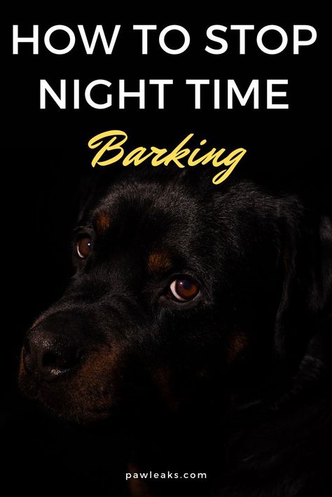 Dog Training Barking, Stay Quiet, Puppy Barking, Stop Dog Barking, Puppies Tips, Dog Behavior Problems, Calm Dogs, Middle Of The Night, Older Dogs