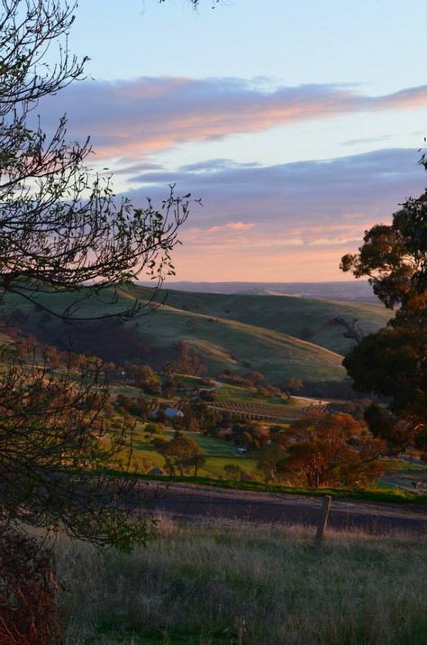 Sunset in the Barossa Valley Barossa Valley Australia, Southern Australia, Australian Landscapes, Barossa Valley, Seasonal Living, Landscape Inspiration, Outback Australia, Future Dreams, Adelaide South Australia