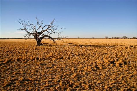 Waste Land, Barren Land, Barren Landscape Art, Nature Background Images, The Giant Peach, Vacant Land, Outback Australia, Ancient Statues, Aesthetic Guys