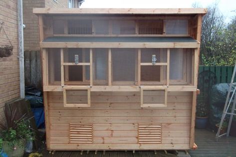 Pigeon Lofts - Sheds In Loft Diy, Racing Pigeon Lofts, Pigeon Loft Design, Homing Pigeons, Pigeon Loft, Racing Pigeons, Dog Kennels, Rabbit Hutches, Potting Sheds