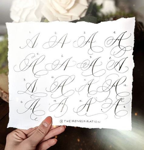 Pencil Calligraphy, Calligraphy Letters Alphabet, Flourish Calligraphy, Calligraphy Fonts Alphabet, English Calligraphy, Calligraphy Drawing, Chalkboard Lettering, Graffiti Lettering Fonts, Copperplate Calligraphy