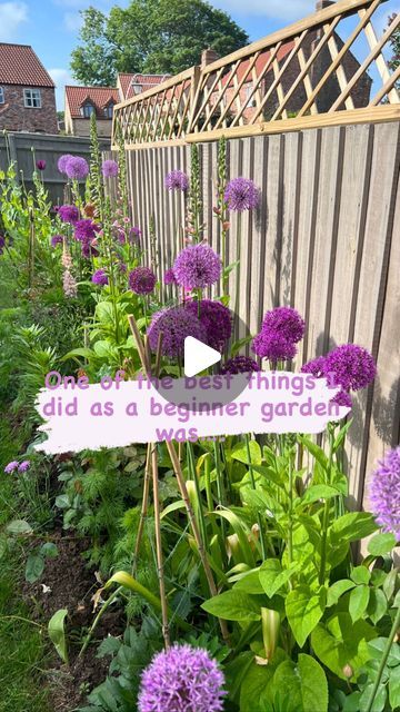 54K views · 2.8K likes | 🌸GINA’S FLOWER GARDEN 🌸 on Instagram: "💜💚 One of the best things I did as a beginner gardener is plant alliums 💜💚. I’ll be adding more now, and should have last years bulbs come up too so I’m hoping for a lovely big display. I’m doing the same as last year and planting them at the middle and back of the border so I can have some tulips at the front for that beautiful pop of spring colour too. Then when the tulips finish the alliums, poppies and foxgloves will take centre stage. (and some other biennials I have added this year!). Do you have alliums in your garden? Let me know what you think in the comments! 💜🪴🌸💐🌷🌼🌺🐝 #alliums #allium #gardens #garden #gardener #gardeningtips #beginnergardener #flowers #flower #cutflowers #gardendesign #bulbs #bulbplant Allium Flower Bed, Aliums In Garden Beds, Allium Border Garden Design, Allium Globemaster Landscape Design, Allium And Tulip Garden, Spring Bulb Border, Allium Flowers Landscaping Ideas, Allium And Hydrangea, Planting Allium Bulbs