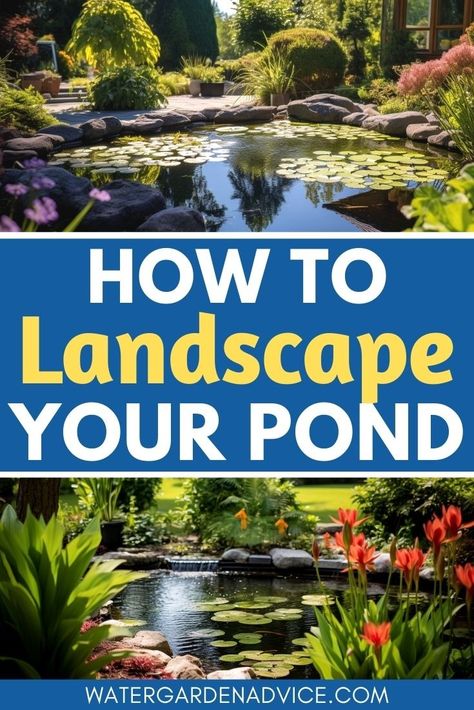 Create a beautiful backyard oasis with these inspiring pond landscaping ideas. Whether you're dreaming of a Japanese-inspired koi pond or a naturalistic wildlife pond, these ideas will help you bring your vision to life. Dive into the world of pond landscaping and let your imagination flow with these captivating pond plants. Pond Landscaping Ideas, Stunning Landscaping, Small Backyard Ponds, Diy Ponds Backyard, How To Landscape, Decorative Rocks, Patio Pond, Bog Plants, Building A Pond