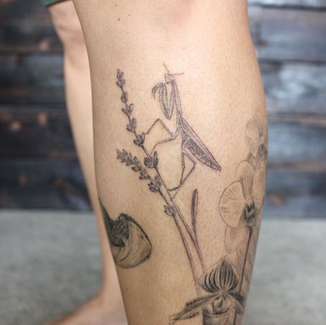 The Bug Collector Tattoo, Praymantis Tattoos, Flower Mantis Tattoo, Prey Mantis Tattoo, Pray Mantis Tattoo, Bug Hip Tattoo, Orchid Mantis Tattoo, Praying Mantis Tattoo Beautiful, Praying Mantis Tattoo Design