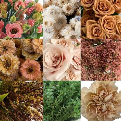 Parvifolia Eucalyptus, Toffee Rose, Toffee Roses, Wedding Collage, Flower Varieties, Floral Installations, Wedding Aesthetic, Wedding Inspirations, Wedding Florals