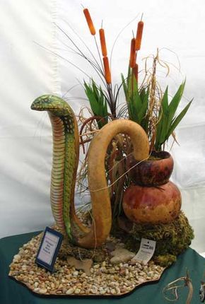 snake gourd Snake Gourd, Art Figures, Petal Pushers, Gourds Crafts, Painted Gourds, Gourd Art, Reptiles And Amphibians, Gourds, Snakes