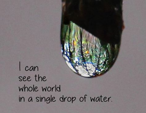 In a Single Drop of Water Water Drop Quotes, Drop Of Water, Just Quotes, French Quotes, Unique Photography, First Photograph, Sunset Quotes, Body Fitness, Nature Quotes