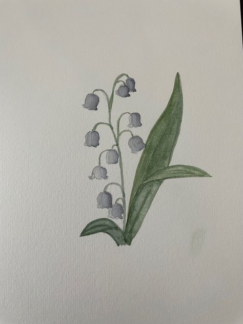 Flower Drawing Lily Of The Valley, Lilies Of The Valley Painting, How To Draw Lily Of The Valley Step By Step, Lily Of The Valley Flower Drawing, Lily Of The Valley Drawing Step By Step, How To Draw Lily Of The Valley, Lilly Of The Valley Drawing Art, Watercolor Lily Of The Valley, Lily Of The Valley Watercolor