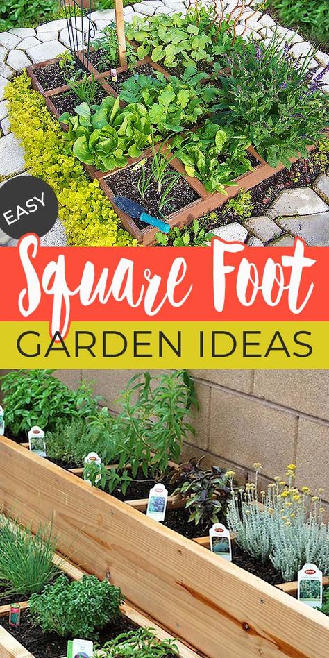 Easy Steps To Square Foot Gardening Success • The Garden Glove Square Foot Gardening Plans, Square Foot Gardening Layout, Gardening Essentials, Square Foot Garden, Beginners Gardening, Raised Gardens, Garden Bed Layout, Companion Gardening, Spice Garden