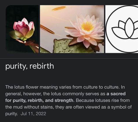 Lotus Flower Meaning, Flower Symbolism, Pretty Flowers Pictures, Plant Fungus, Magic Herbs, Flower Meanings, Nothing But Flowers, Flower Therapy, No Rain