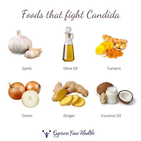 Here are 6 simple ingredients you can add when you are fighting candida and healing your gut. 🧄 One clove of garlic has natural antifungal agent 🫒 Olive oil is a powerful antioxidant that can help break down candida overgrowth and boost your immune system. 👍🏻Tumeric has been known as an anti-inflammatory ingredient.🧅 Onions are rich in vitamin C,.👍🏻Ginger contains antifungal and anti-inflammatory agents.🥥 Virgin coconut oil contains fatty acids that have antimicrobial properties. Antifungal Foods, Diet For Candida Overgrowth, Candida Cleanse Diet, Candida Die Off, Get Rid Of Candida, Candida Overgrowth Symptoms, Yeast Infection Causes, Hormone Nutrition, Symptoms Of Candida Overgrowth