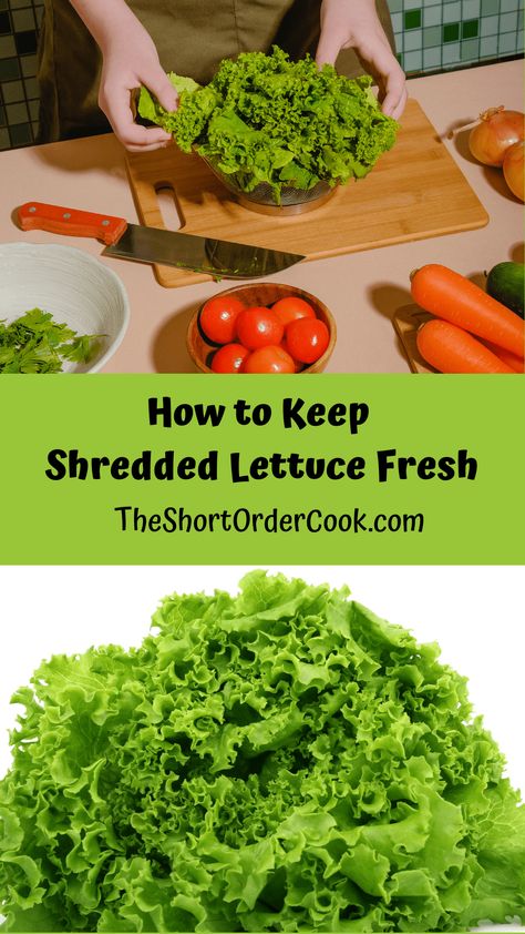 Leftover Lettuce, Storing Lettuce, Types Of Lettuce, Lettuce Salad Recipes, Lettuce Recipes, Red Leaf Lettuce, Leaf Lettuce, Italian Chopped Salad, Iceberg Lettuce