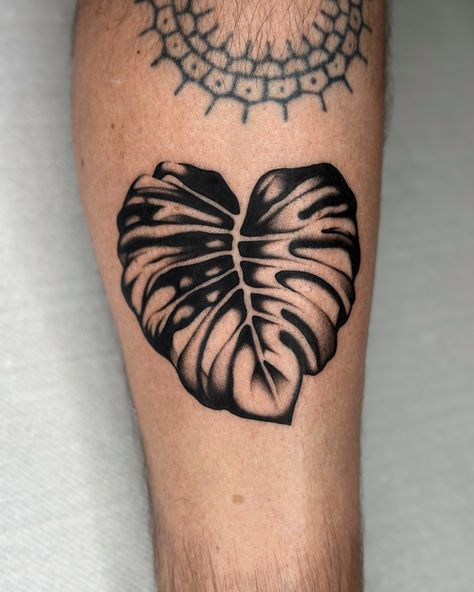 _ • family: araceae (arum family) • genus: monstera • species: monstera deliciosa ________________________________________ healed hop branch on the right ________________________________________ find my remaining availabilities for september in my channel; booking october by the end of july; offline until tuesday. ________________________________________ #mlt_tattoo #trulyyourstattoo #monstera #monsteradeliciosa #blacktraditional #blacktraditionals #blacktrad #blacktraditionaltattoo #black... Enzo Tattoo, Gnarly Tattoos, Monstera Tattoo, Monstera Deliciosa, American Traditional, Blackwork Tattoo, Traditional Tattoo, Blackwork, Tattoo Ideas