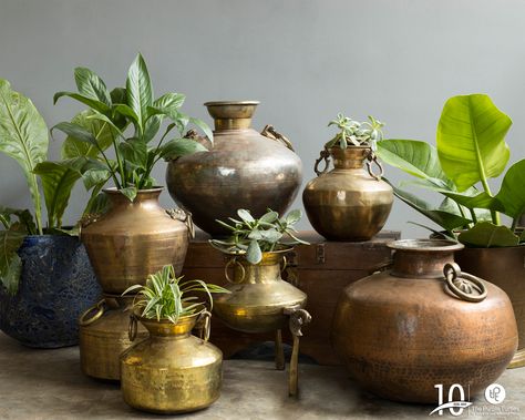 These plants and their quaint planters create an inviting ambience interspersed with ethnic elegance. The brass pots are essentially traditional decor accents that double up as planters.  Explore more of these at our store today! Open Terrace Ideas, Indian Vintage Home Decor, Brass Decor Indian, Indian Room, Vintage Brass Decor, Indian Room Decor, India Home Decor, Brass Pot, Rustic Restaurant