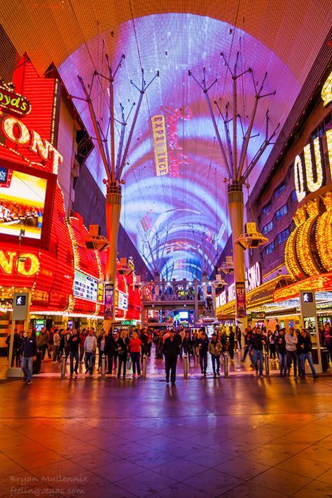 Photograph of the Famous Fremont Street on the Las Vegas Strip at night. The Fremont Street Experience is a fun pedestrian area in downtown Las Vegas. #lasvegas #vegas #photography #fremontstreet #lasvegasphotography #lasvegasstrip Vegas Fremont Street, Las Vegas Fremont Street, Las Vegas Downtown, The Strip Las Vegas, Fremont Street Las Vegas, Las Vegas Art, Vegas Photography, Fremont Street Experience, Las Vegas Photography