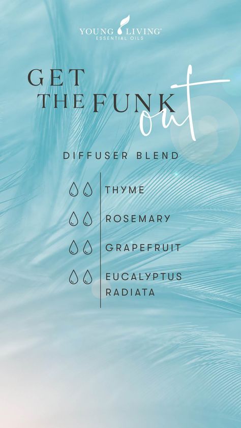 Diffuser Blends Young Living, Eucalyptus Radiata, Thyme Essential Oil, Essential Oil Combinations, Essential Oil Diffuser Blends Recipes, Essential Oil Remedy, Young Living Essential Oils Recipes, Essential Oils Guide, Essential Oils Cleaning