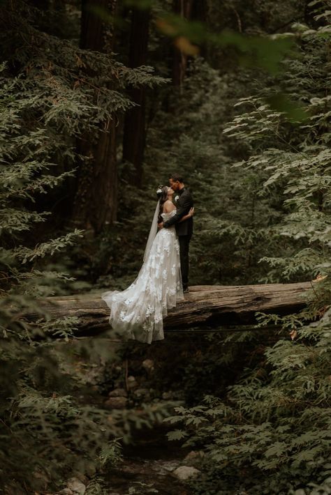 Flora Gibson Photography Big Sur California wedding and elopement photographer Pnw Forest Wedding, The Wedding Bliss, Intimate Gathering, Forest Theme Wedding, Anniversary Shoot, Big Sur Wedding, Enchanted Forest Wedding, Pnw Wedding, Night Gowns