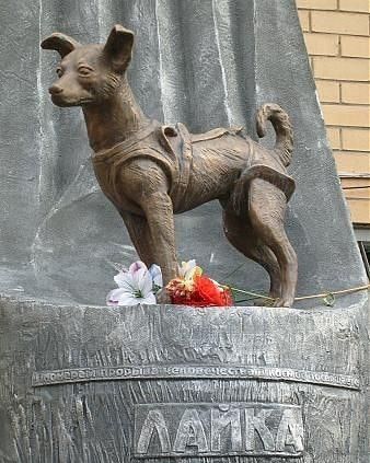 Istvàn Berènyi on Instagram: “Memorial to Soviet space dog Laika who became the first animal to orbit the Earth (Moscow)  #universe #cosmos #astrophysics #astroworld #…” Soviet Space Dogs, Belka And Strelka, Laika Dog, Space Dogs, Nasa Galaxy, Dog Hero, Space Animals, Space Dog, Cemetery Art