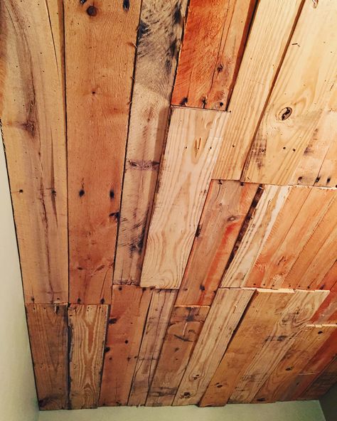 Pallet Ceiling, Sky Light, Bathroom Design Decor, Pinterest Projects, Design Decor, Basement, Bathroom Design, Hardwood Floors, Ceiling