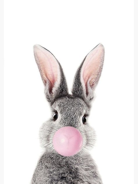 Canvas Art Black, Blowing Bubble Gum, Bunny Pictures, Pink Bubbles, Animal Posters, Framed Painting, Art Black, Art Framed, 귀여운 동물