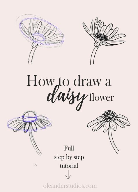 Draw A Daisy, Daisy Flower Drawing, Daisy Drawing, A Daisy Flower, How To Draw Flowers, Flower Step By Step, Flower Drawing Tutorials, Draw Flowers, Daisy Painting