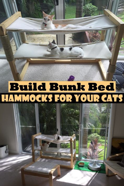 Diy Cat Furniture, Diy Cat Stuff, Hammock Ideas, Diy Cat Hammock, Cat Diy Crafts, Ferrets Care, Cat Projects, Kitty Ideas, Cat Patio