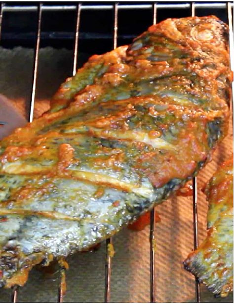 Grilled Tilapia Recipe Grilled Tilapia Recipes, Dinner Party Starters, Grilled Tilapia, Tilapia Recipe, Tilapia Recipes, Fish Stock, Scotch Bonnet, Easy Oven, Oven Racks