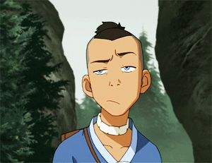 Sarcastic Sokka is best Sokka The Familiar Of Zero, Korra Avatar, Air Bender, Avatar The Last Airbender Art, Team Avatar, Fire Nation, Avatar Airbender, Avatar Aang, Legend Of Korra