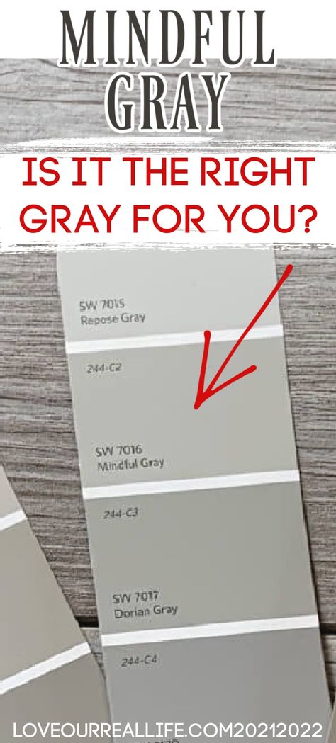 Sw 7016 Mindful Gray, Sherwin Williams Mindful Gray, Repose Gray Paint, Sw Repose Gray, Neutral Gray Paint, Perfect Greige, Mindful Gray Sherwin Williams, Repose Gray Sherwin Williams, Worldly Gray