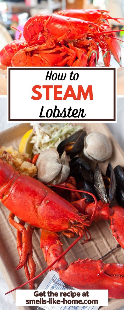 Want to know how to cook lobster? There are so many ways! Here, as a lobster lover living in Maine, I’m giving you a full guide on how to steam lobster! It’s way easier than you might think so let’s dig in! Living In Maine, Cook Lobster, Steamed Lobster, Lobster Dishes, Live Lobster, How To Cook Liver, Lobster Dinner, Seafood Chowder, How To Cook Lobster