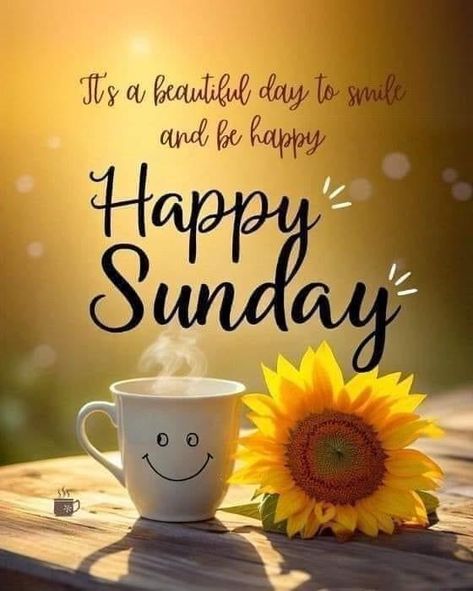 Good Morning Sunday Quotes Inspirational, Happy Sunday Messages, Ella Quotes, Happy Sunday Images, Good Morning Sunday, Sunday Morning Coffee, Happy Sunday Morning, Sunday Morning Quotes, Daily Wishes