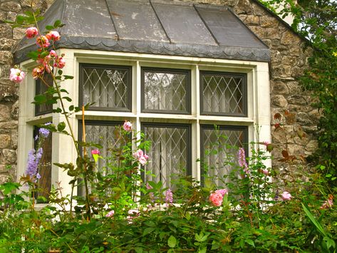 Diamond paned windows on fairytale cottage.  Doesn't get any better.  :) Cottage Windows, Leaded Glass Windows, Fairytale Cottage, Tudor Style Homes, Storybook Cottage, Cottage By The Sea, Style Cottage, Carmel By The Sea, Dream Cottage