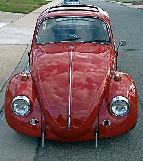 red California Look Vw Racing, Volkswagen Beetle Vintage, Vw Super Beetle, Hot Vw, Vw Ideas, Bug Car, Vw Karmann Ghia, Classic Volkswagen, Volkswagen Bug