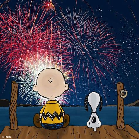 Happy July 4th Images, Woodstock Hippies, 4th Of July Wallpaper, 4th Of July Images, July Images, Woodstock Snoopy, Happy July, Snoopy Wallpaper, Snoopy Quotes