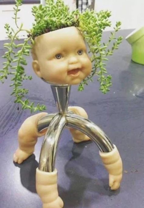 Creepy Baby Dolls, Weird Images, Head Planters, Weird Pictures, Creepy Dolls, Old Dolls, Plant Holder, Doll Head, Really Funny Pictures